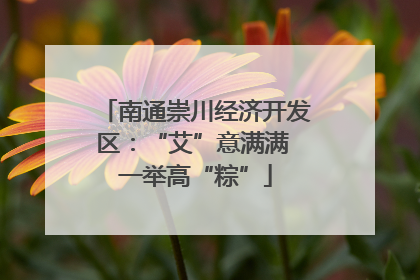 南通崇川经济开发区：“艾”意满满 一举高“粽”