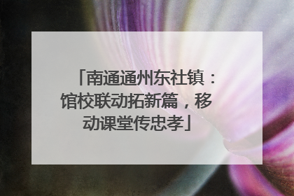 南通通州东社镇：馆校联动拓新篇，移动课堂传忠孝