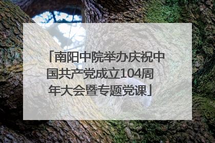 南阳中院举办庆祝中国共产党成立104周年大会暨专题党课