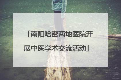 南阳哈密两地医院开展中医学术交流活动