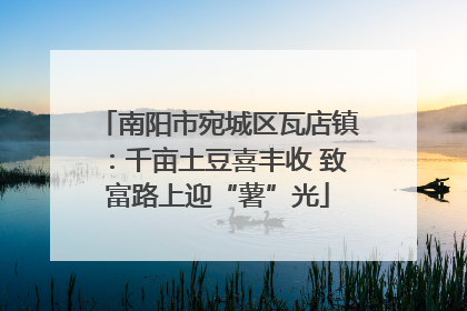 南阳市宛城区瓦店镇：千亩土豆喜丰收 致富路上迎“薯”光
