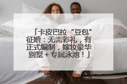 卡皮巴拉“豆包”征婚：无需彩礼，有正式编制，嫁妆豪华别墅＋专属泳池！