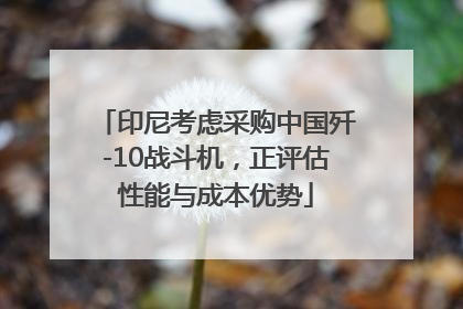 印尼考虑采购中国歼-10战斗机，正评估性能与成本优势