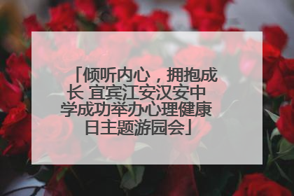 倾听内心，拥抱成长 宜宾江安汉安中学成功举办心理健康日主题游园会