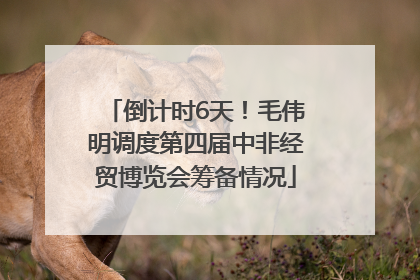 倒计时6天！毛伟明调度第四届中非经贸博览会筹备情况