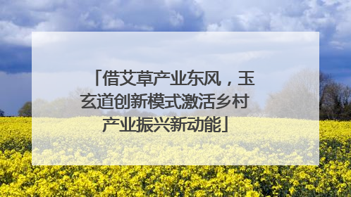 借艾草产业东风，玉玄道创新模式激活乡村产业振兴新动能