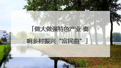 做大做强特色产业 奏响乡村振兴“富民曲”
