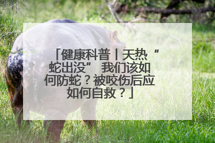 健康科普丨天热“蛇出没” 我们该如何防蛇？被咬伤后应如何自救？