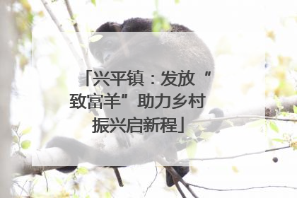 兴平镇：发放“致富羊”助力乡村振兴启新程