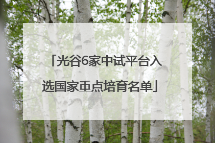 光谷6家中试平台入选国家重点培育名单
