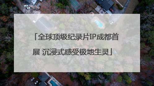 全球顶级纪录片IP成都首展 沉浸式感受极地生灵