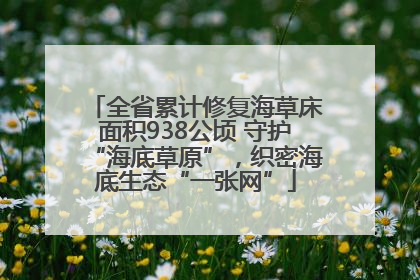 全省累计修复海草床面积938公顷 守护“海底草原”，织密海底生态“一张网”