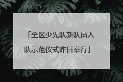 全区少先队新队员入队示范仪式昨日举行