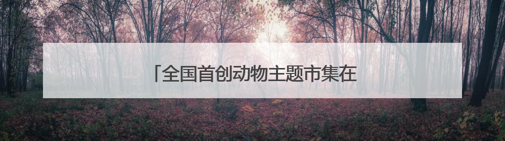 全国首创动物主题市集在哈尔滨极地公园火热开市