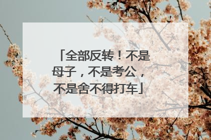 全部反转！不是母子，不是考公，不是舍不得打车