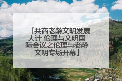 共商老龄文明发展大计 伦理与文明国际会议之伦理与老龄文明专场开幕
