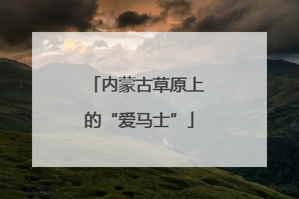内蒙古草原上的“爱马士”