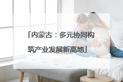 内蒙古：多元协同构筑产业发展新高地