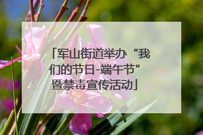 军山街道举办“我们的节日-端午节”暨禁毒宣传活动