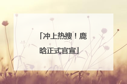 冲上热搜！鹿晗正式官宣