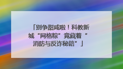 别争甜咸啦！科教新城“网格粽”竟藏着“消防与反诈秘籍”