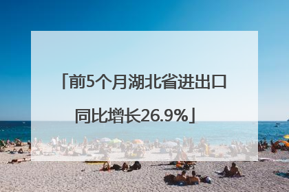 前5个月湖北省进出口同比增长26.9%