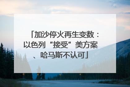 加沙停火再生变数：以色列“接受”美方案、哈马斯不认可