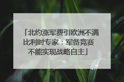 北约涨军费引欧洲不满 比利时专家：军备竞赛不能实现战略自主