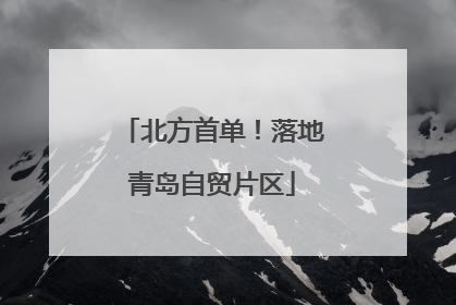 北方首单！落地青岛自贸片区
