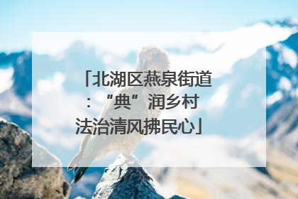 北湖区燕泉街道：“典”润乡村 法治清风拂民心