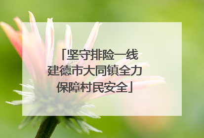 坚守排险一线 建德市大同镇全力保障村民安全