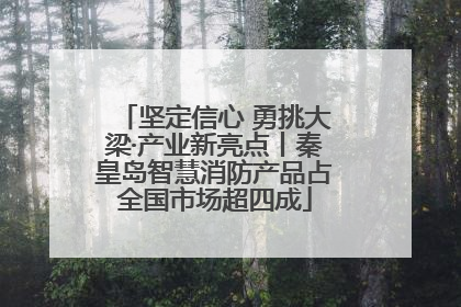 坚定信心 勇挑大梁·产业新亮点丨秦皇岛智慧消防产品占全国市场超四成