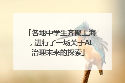 各地中学生齐聚上海，进行了一场关于AI治理未来的探索
