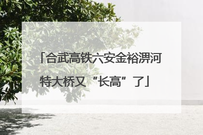 合武高铁六安金裕淠河特大桥又“长高”了