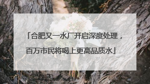 合肥又一水厂开启深度处理，百万市民将喝上更高品质水