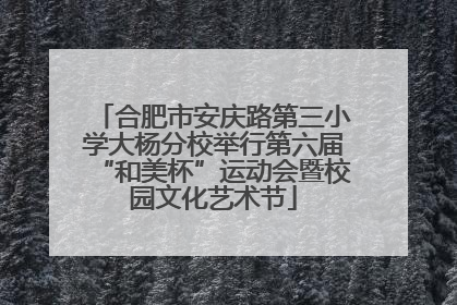 合肥市安庆路第三小学大杨分校举行第六届“和美杯”运动会暨校园文化艺术节