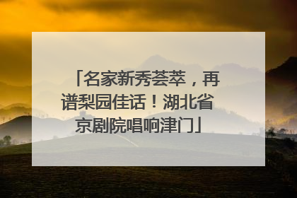 名家新秀荟萃，再谱梨园佳话！湖北省京剧院唱响津门