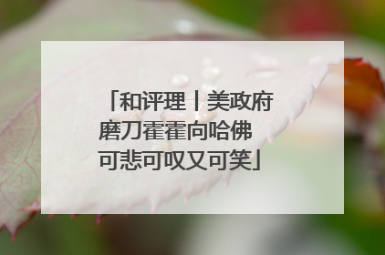 和评理丨美政府磨刀霍霍向哈佛 可悲可叹又可笑