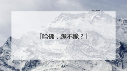 哈佛，跪不跪？