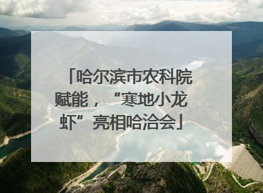 哈尔滨市农科院赋能，“寒地小龙虾”亮相哈洽会