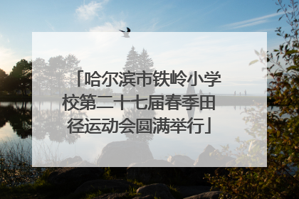 哈尔滨市铁岭小学校第二十七届春季田径运动会圆满举行