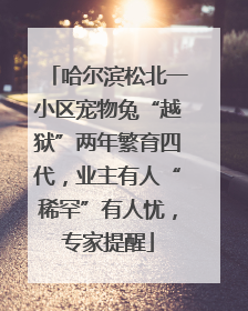 哈尔滨松北一小区宠物兔“越狱”两年繁育四代，业主有人“稀罕”有人忧，专家提醒