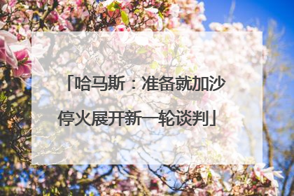 哈马斯：准备就加沙停火展开新一轮谈判