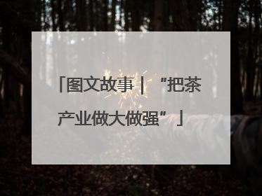 图文故事｜“把茶产业做大做强”