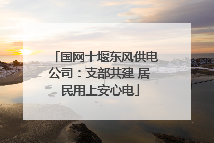 国网十堰东风供电公司：支部共建 居民用上安心电