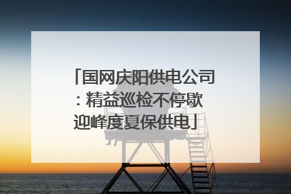 国网庆阳供电公司：精益巡检不停歇 迎峰度夏保供电