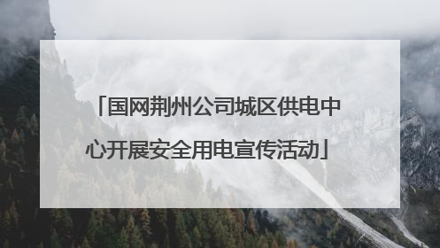 国网荆州公司城区供电中心开展安全用电宣传活动