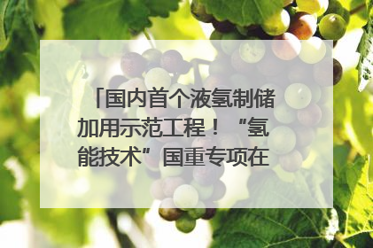 国内首个液氢制储加用示范工程！“氢能技术”国重专项在四川南充启动｜打赢经济发展翻身仗
