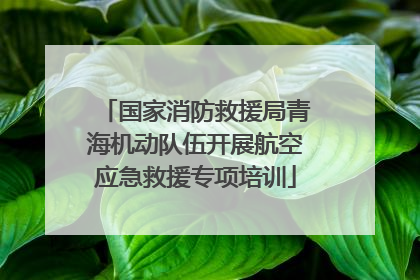 国家消防救援局青海机动队伍开展航空应急救援专项培训