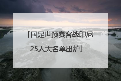 国足世预赛客战印尼25人大名单出炉